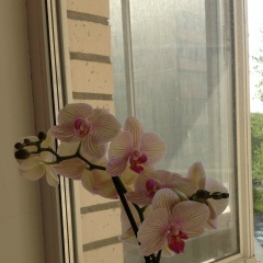 Валюшка Бадма-Халгаева, 03.05, Санкт-Петербург