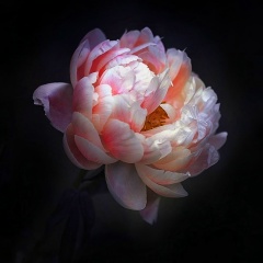 Ольга Аминда, 20.05, Тюмень