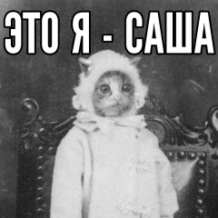 Александра З