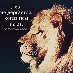 Шурик Кошач, 09.08.1988, Москва