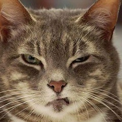 Алексей Мельников, 03.12.1985, Тверь