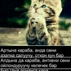 Жакшылык Мадатов, 03.02.1994, Ош