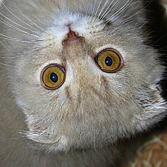 Юлия Клементьева, 23.06