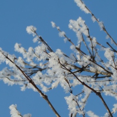 Наташа Бочарникова, 16.09.1984, Воронеж