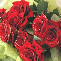 Эльмира Дибирова, 08.03, Хасавюрт
