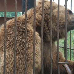Сергей Иванов