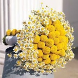 Эльвира Девлеткильдеева, 31.03