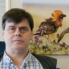 Дмитрий Дешевых, Мурманск
