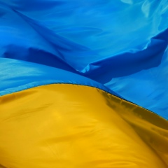Світлана Нездіймишапка, 31.03, Киев