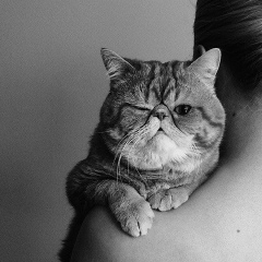 Оля Волощук, 01.09, Херсон