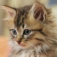 Марина Михайлова, Южноуральск