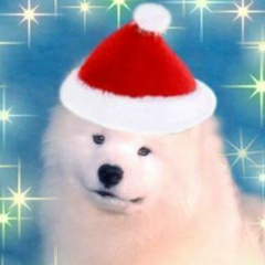 Doge Picasso, 17.12.1997
