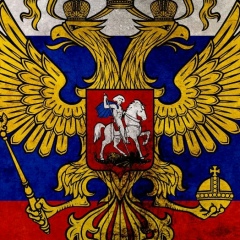 Дмитрий Корниенко, Санкт-Петербург