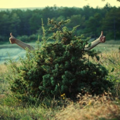 Диана Евицкая, 29.09, Киев