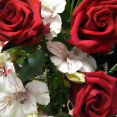 Алена Борзенко, 16.11.1986, Степногорск