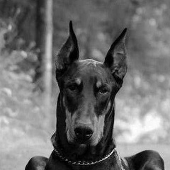 Said Kuishugulov, 07.07, Астрахань