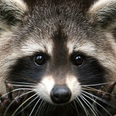 Юлия Жувак, 14.06, Санкт-Петербург