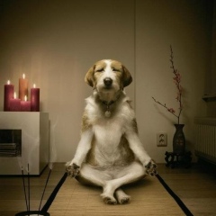 Дамир Дамиров, 12.02.1988, Санкт-Петербург