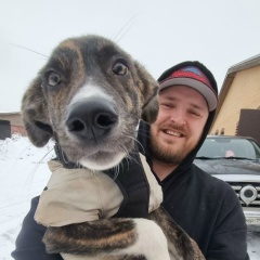 Василий Фокин, Санкт-Петербург