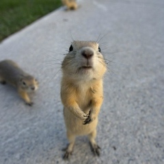 Олег Свердлов, 01.04.1986, Екатеринбург
