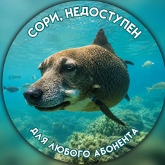 Виктория Петрова, 13.04, Смоленск