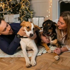 Виктория Чернышова, Москва