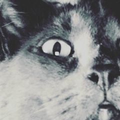 Антонина Сухопарова, 05.02, Нарьян-Мар