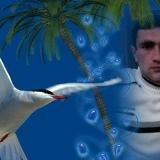 Styop Tovmasyan, Ереван