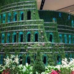 Александр Дмитриев, 07.06, Москва