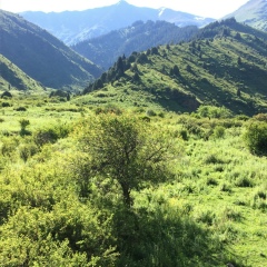 Arailym Semikhova, 18.09, Баку