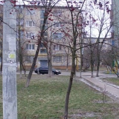 Алексей Солодов, 10.08