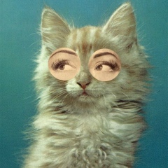 Анастасия Стёпина, 13.07.1991, Москва