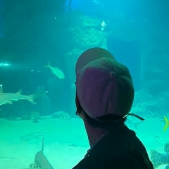 Валерия Козунова, 01.02.2002