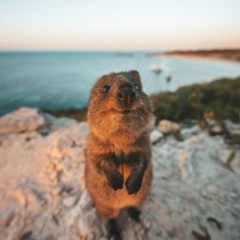 Константин Антонов, 26.09.1985, Санкт-Петербург