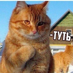 Тимур Шарипов, Челябинск