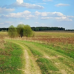 Наталия Воробьева