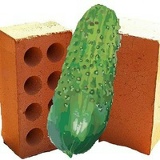 Кирпич Огурец, 19.01