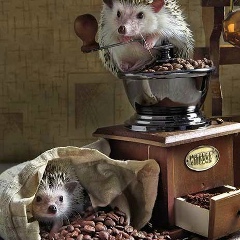 Флюра Файзрахманова, 06.11