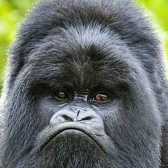 Жан Антеев, 05.07.1991, Москва