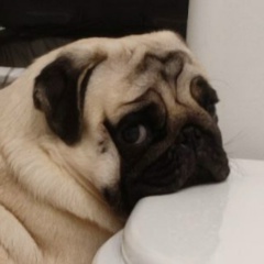 Дима Яковенко, 24.10, Белгород