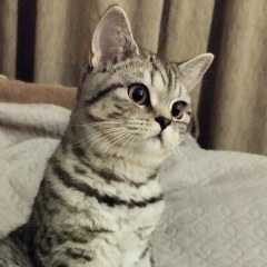 Алена Олефиренко, 10.10.1983, Скадовск