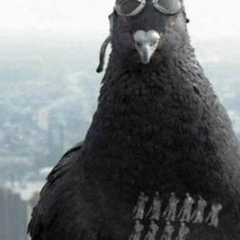 Голубь Семён, 29.06, Пермь