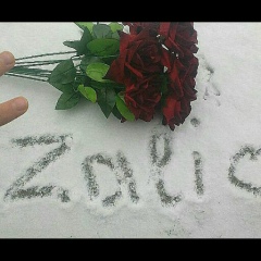 Zalina Alieva, 20.06.1994, Грозный