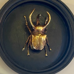 София Тарасенко, Новосибирск