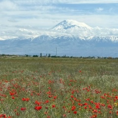 Наталья Багзикова, 20.03, Белгород