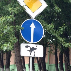 Юрий Федотов, 24.05, Москва