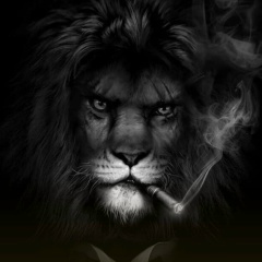 Дима Блюденов, 13.08