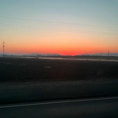 Юлия Нешта, 14.03, Geoje