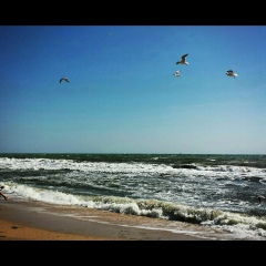 Наталья Петрова, 28.01.1989, Москва