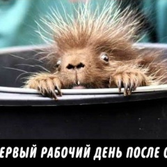 Роман Владимиров, 09.03.1985, Псков